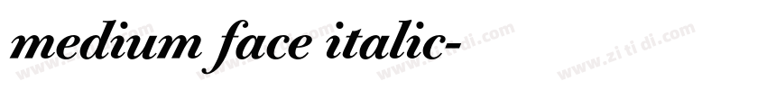 medium face italic字体转换